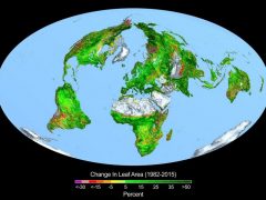 volldraht_co2_begruenung